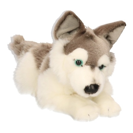 Plush Husky dog cuddle toy 30 cm