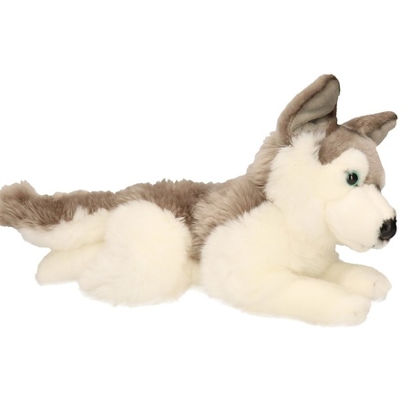 Plush Husky dog cuddle toy 30 cm