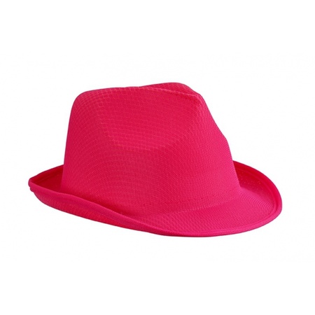 Carnaval verkleed set - hoedje en stropdas - roze - volwassenen