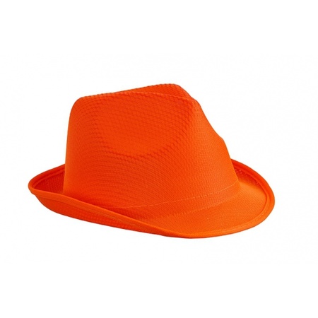 Carnaval verkleed set - hoedje en stropdas - oranje - volwassenen